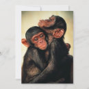 Pesquisar por chimpanzés cartoes Chimpanzé comum