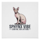 Pesquisar por gato sphynx pôsteres Para amante de gatos