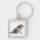 Pesquisar por sheepdog chaveiros Natureza