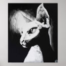 Pesquisar por gato sphynx pôsteres Natureza