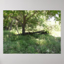 Pesquisar por esquecido pósteres pôsteres Carro