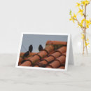 Pesquisar por amante pássaro cartoes Aves