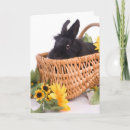 Pesquisar por basket cartoes Flowers