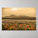 Pesquisar por baxter Katahdin