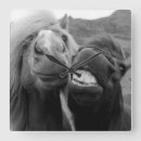 Pesquisar por imagens engraçadas relogios de parede Animais