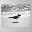 Pesquisar por praia preto e branco pósteres pôsteres Fotografia