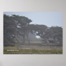 Pesquisar por baía de monterey pôsteres Litoral