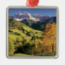 Pesquisar por minúsculo ornamentos Floresta