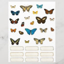 Pesquisar por colagem borboleta artesanato material Efemérica