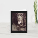 Pesquisar por chocolate labrador retriever cartoes Puppy