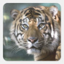 Pesquisar por panther adesivos Eua