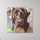 Pesquisar por labrador marrom pósteres pôsteres Retrato