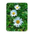 Pesquisar por flor branca azul imas Branco