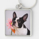 Pesquisar por boston terrier chaveiros Rosa