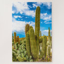 Pesquisar por planta de deserto Plantas