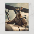 Pesquisar por aviões flyers Avião