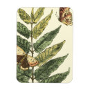 Pesquisar por quadro imas Preto