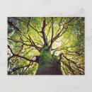Pesquisar por raizes cartoes Paisagem