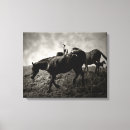 Pesquisar por pinto cavalo pôsteres Branco