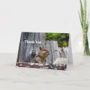 Pesquisar por mammals cartoes Cute