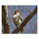 Pesquisar por xamanismo pôsteres Paganismo