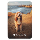 Pesquisar por ímãs do cão imas Qualquer pessoa