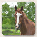 Pesquisar por cara do cavalo Natureza
