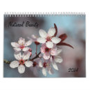 Pesquisar por photograhy Flores