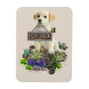 Pesquisar por venda do ímã imas For her