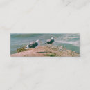 Pesquisar por penhascos cartao de visita Praia