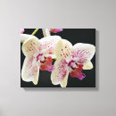 Pesquisar por orquídea branca impressão de canvas Arte