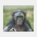 Pesquisar por primate mantas Primata