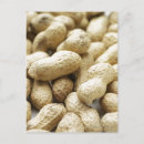 Pesquisar por leguminosa cartoes postais Feijão