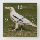 Pesquisar por leucistic Vida selvagem