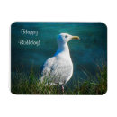 Pesquisar por aniversário masculino imas Masculina