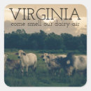 Pesquisar por virgínia adesivos Engraçado