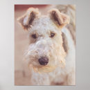 Pesquisar por poster de cãozinho pósteres pôsteres Animal