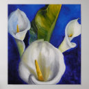 Pesquisar por calla lilly Lírios