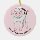 Pesquisar por porcos bonitos ornamentos For kids