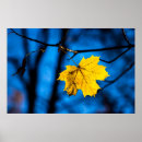 Pesquisar por folhas pôsteres Folha de mapa