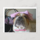 Pesquisar por buldogue inglês convites Fofofo