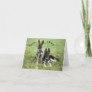 Pesquisar por cartões do german shepherd cartoes Animais de companhia