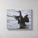 Pesquisar por livro impressão de canvas Aves