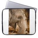 Pesquisar por elefante laptop sleeves Vida selvagem