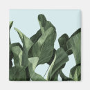 Pesquisar por palmas imas Botânica