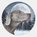 Pesquisar por weimaraner adesivos Xmas