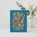 Pesquisar por ernst haeckel cartoes postais Colheita