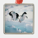 Pesquisar por riscas ornamentos Animais