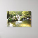 Pesquisar por cachoeiras impressão de canvas Floresta