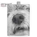 Pesquisar por cão cantis Frasco